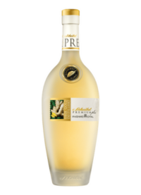 Scheibel Premium Plus Ingwer-Royal